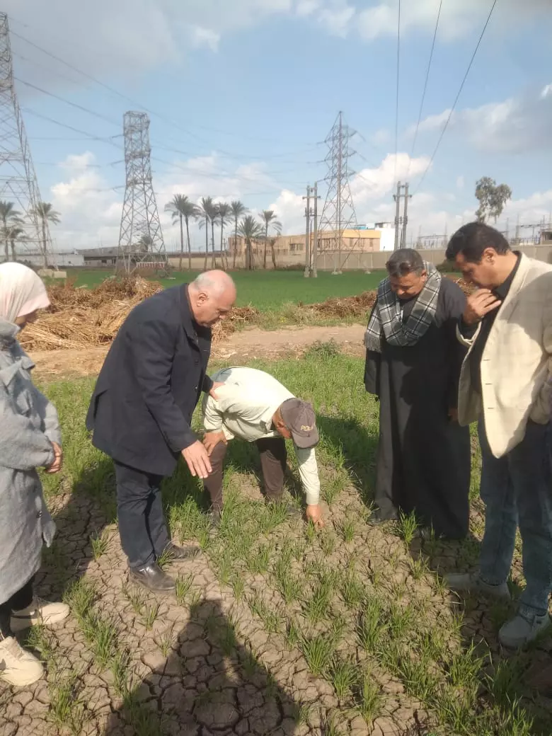 408b5d778ba04396ab693fea8212f5c1