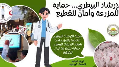 43e4c3970cec1c1e99fa9c84c9cee076