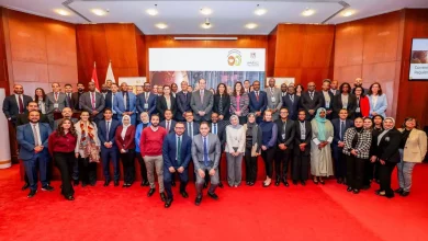 47af3a9a7f8aa772ec4436c7bca237e7