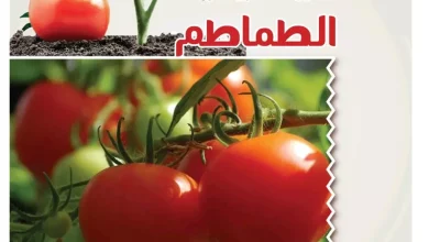 49bd73d00e8e06c752cc991c85309fa1