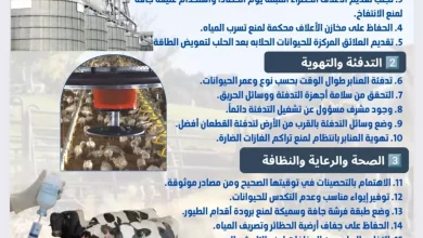 4c40dcd3336677d9caaf86643fd80d3d