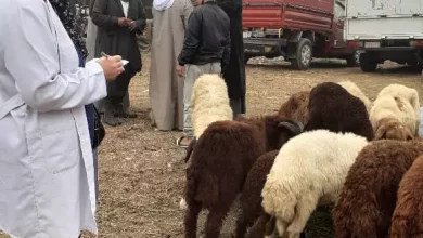 4e4948c12b0074874aac968752c33bda