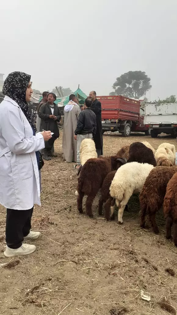 4e4948c12b0074874aac968752c33bda