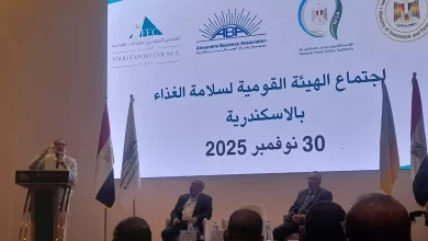 4ea294fc28ad8d19ae81af4d28232115