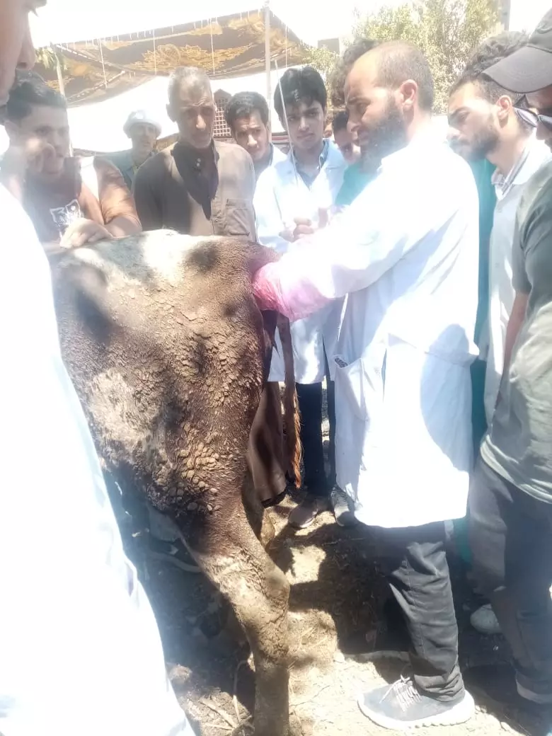 55c62a03259d6ed9682d10df837ef5a9