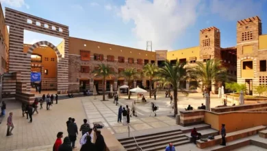 57300ba63fa0363e1af06804c59931d0