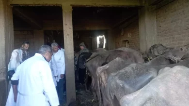 64254e4853a6a0e5f2523f426328b81c