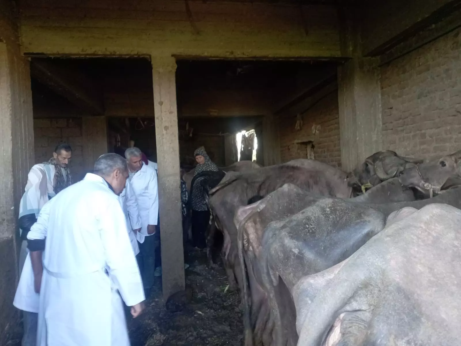 64254e4853a6a0e5f2523f426328b81c