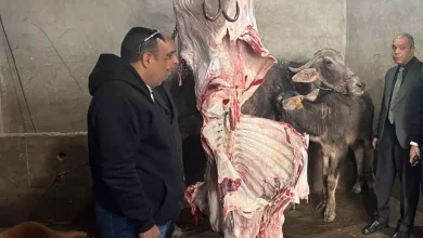 6d2002d201a7ccb69252e71269604dee