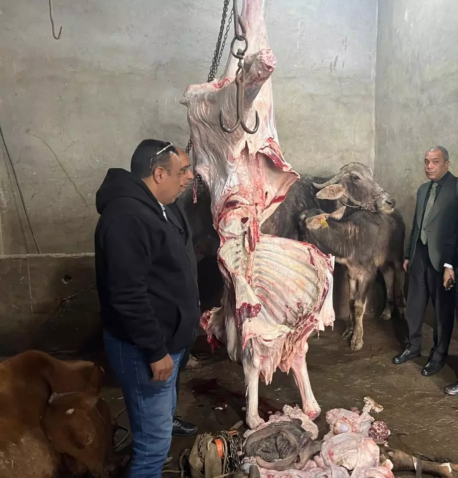 6d2002d201a7ccb69252e71269604dee