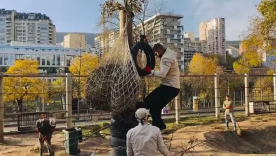 71f9c236843f30e32319b906cce6cb4c