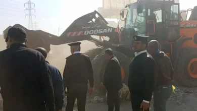 73262cba440b174eaac897785b5fc36e