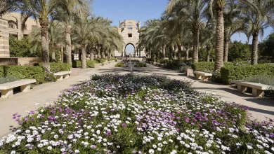 771c8e9818cf876d01f6b79acc63aa6e