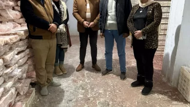 84561a95642aa5ac50a73076a3777d01