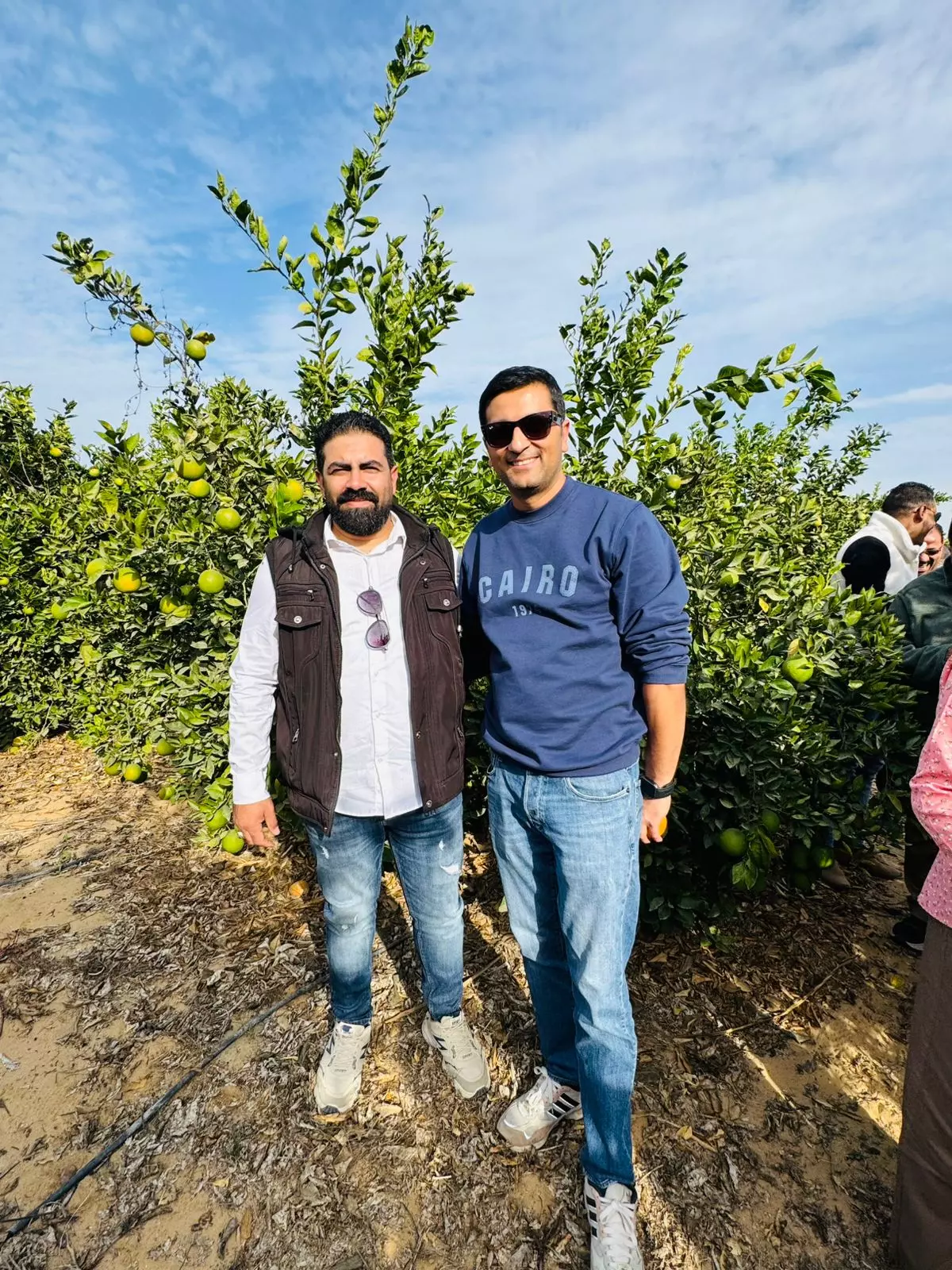 889a7956061b4de4aa89a3d619880854