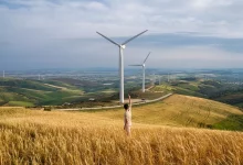 8e0a5d9fc4ae6c07482fe4ace6b7860a