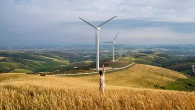 8e0a5d9fc4ae6c07482fe4ace6b7860a