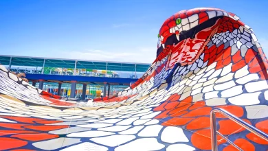 95ed5bee706b82daf60a43a939e0df76