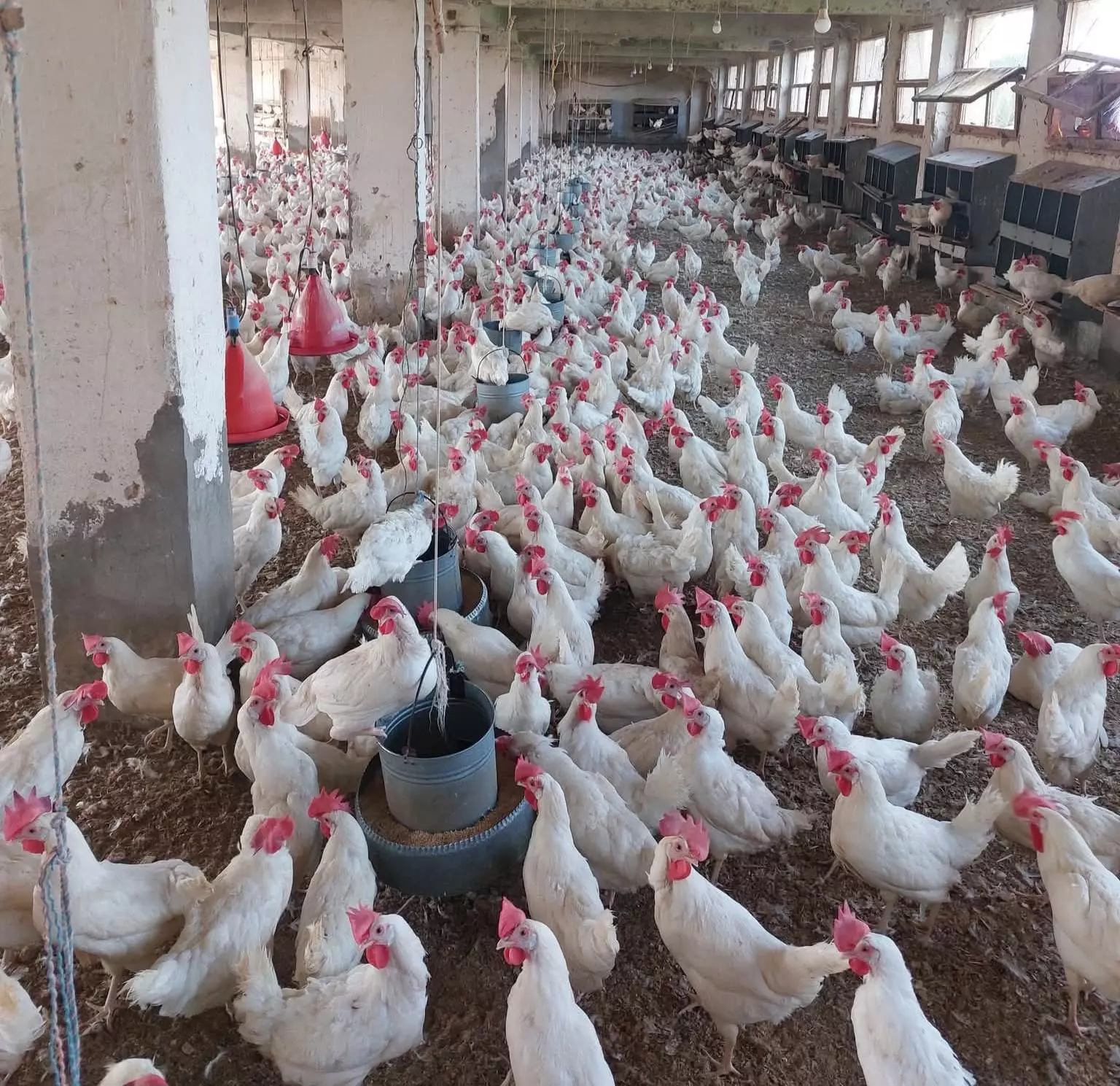 9bc268e2648488e792e17c1db5b188af