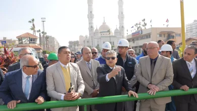 A5e6b5469efe9d7f018cad0604f4ff85