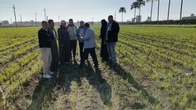 B4b3f47b3aa2014515bef5c1bbc3378c