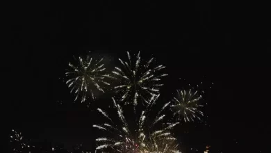 Bf16be1c511a03575a8d4b908ee6f257