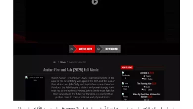 C535256d72a36e5b1d296b49360fb3e4