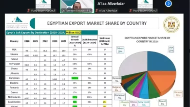 C7ad57d77f4636d20a70fb3eb0ee46ab