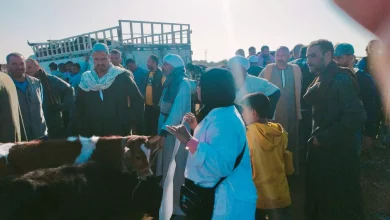 D16394bbace647f443760d1d2589b7e2