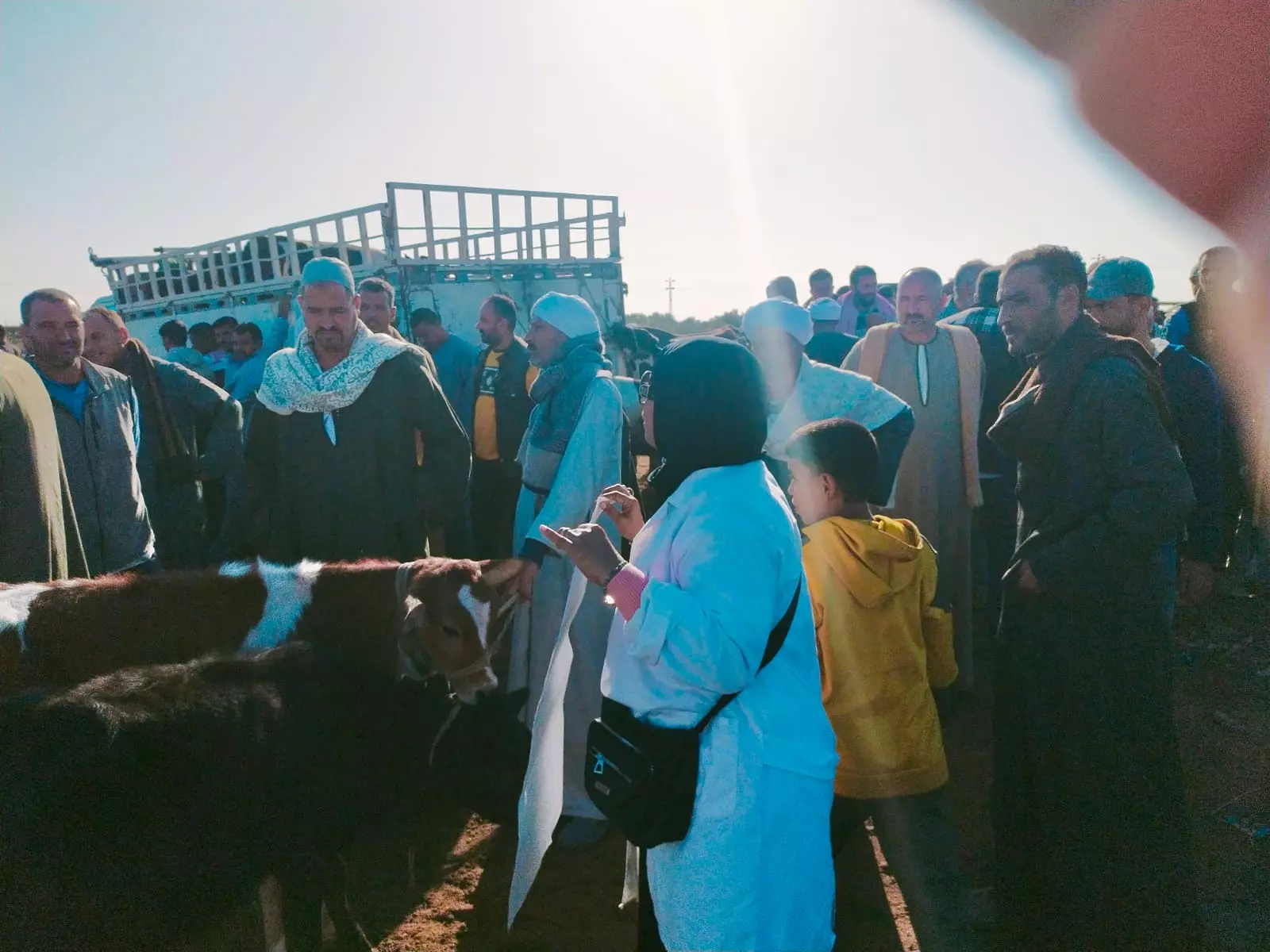 D16394bbace647f443760d1d2589b7e2