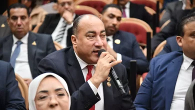 D6986c91d5461551aa782ae75900e9fe