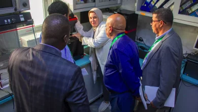 Df4a9b3436a69eabaa173d22c8a37b73