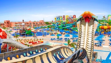 Ef8144831a1064320e698fe877e186dc