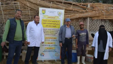 F1e292aacea6c801434196b2d7b17efa