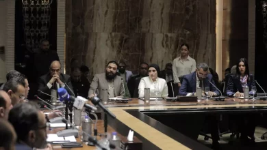 F31eabc9a25c142dc5a4bef8cea01833