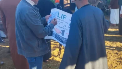 F47b6ede4a33058a01e01875457444af