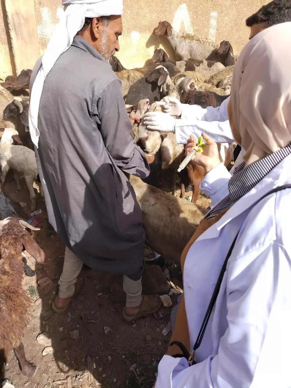 F53dcfd3cb88763339df47fe5e3e62d7