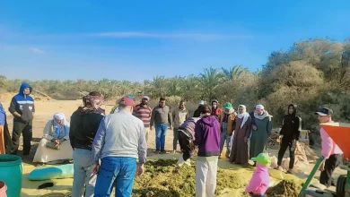 F61485319aac29af158af5033940a9fd