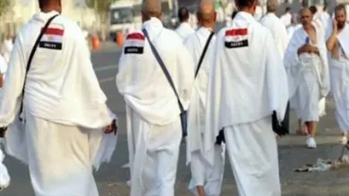 01f16548a955f8eb70ada60846986a5d