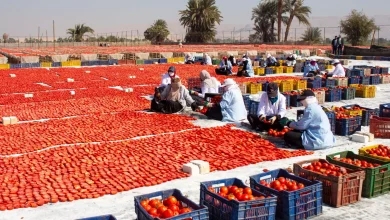 0d669f1313c2f1f25bd0a5f18222b62f