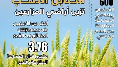 0ef1bcacf1914195d9633399a3ea426b