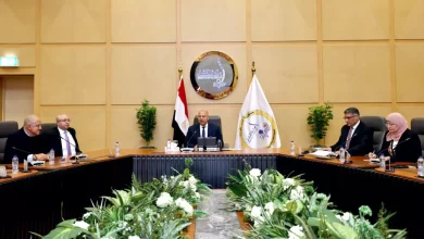 0faefa2d8b36bb01ffa1c70f78b5e264