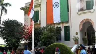 11da6bf3bcdd5bb5cf114f989875e203