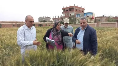 156164d0de62de2c7628b3a41d0600df