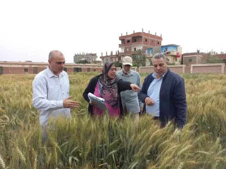 156164d0de62de2c7628b3a41d0600df