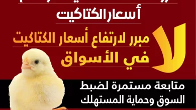 1e55754bc6a9384f3613d0f8299ed9c5