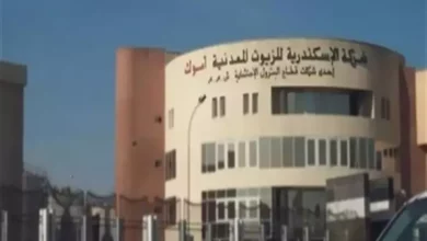 305e8cc2d5b44342507a096ee0c45b09