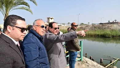 32eeda705bd801115be8d9b96f04a5c3