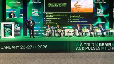 أحمد السباعي: روسيا تستحوذ على 59% من واردات مصر من القمح