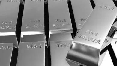 477633e4b2087ab90c606fbd5dd266c6